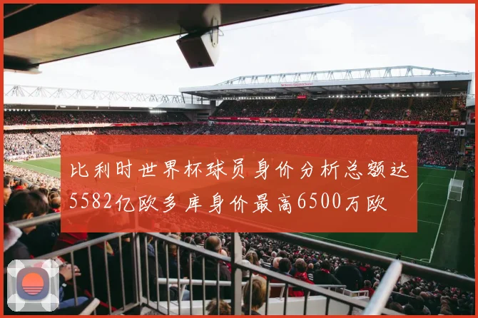 比利时世界杯球员身价分析总额达5582亿欧多库身价最高6500万欧