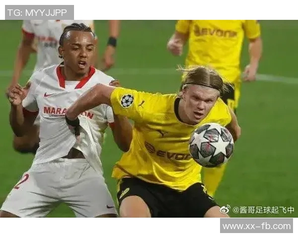 多特再失分南大王无奈拜仁独领风骚德甲争冠形势愈发明朗